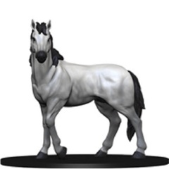 Riding Horse